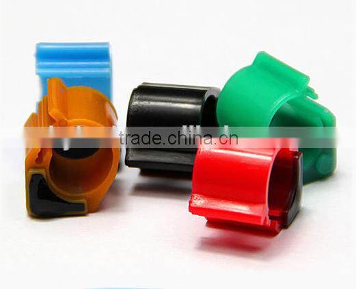 pigeon ring with card