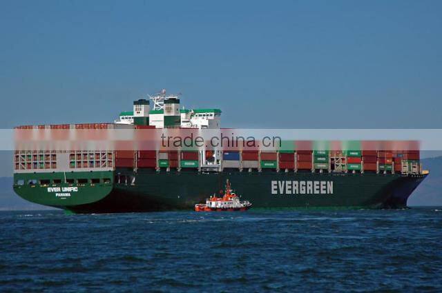 High Quality Cheap PP Pet Dog Double Bowl 11.5''