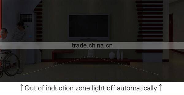 LED Home indoor Mood Light auto Sensor Light