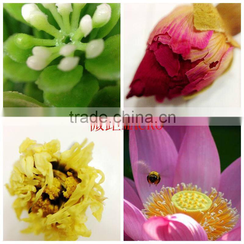 2015 Clip Fisheye Camera Lens Universal Samrtphones Cell Phone Lens Attachment