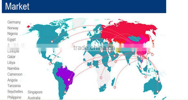 as seen watch COG type LCM display