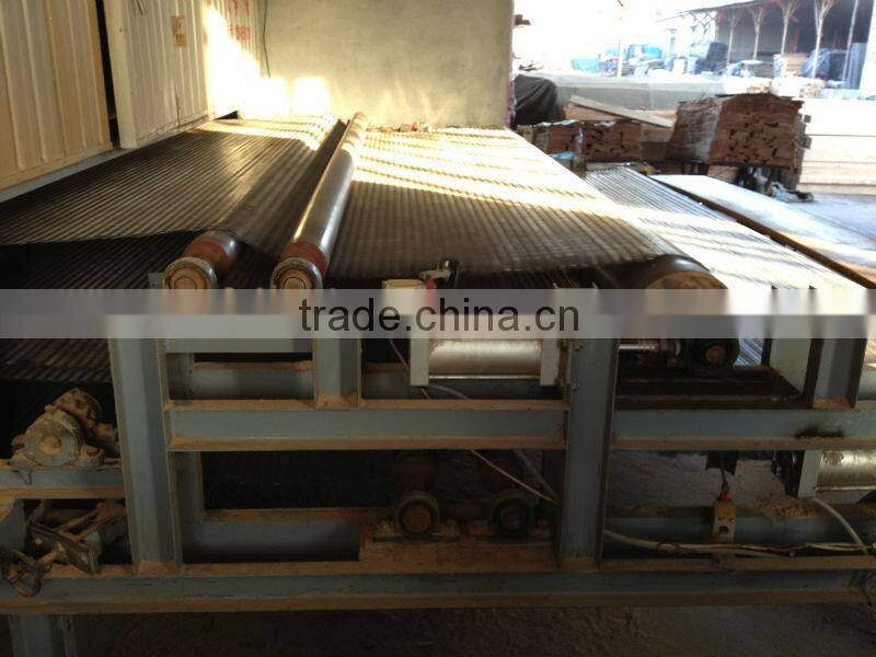 One layer veneer net dryer machine