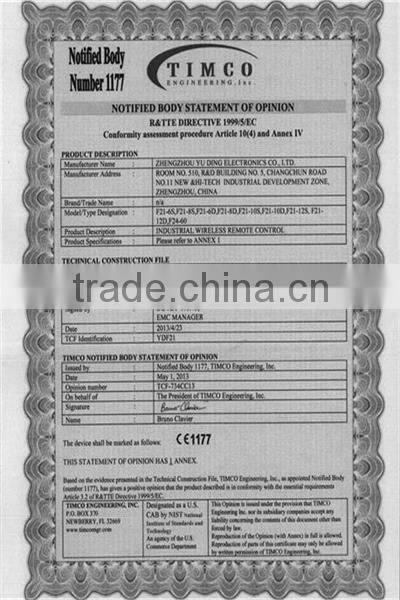 F21-10D-2TX Industrial wireless crane remote control switch