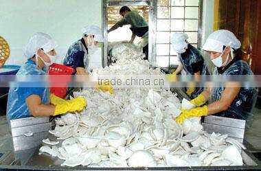 VIETNAM DESSICATED COCONUT HIGH FAT INTERIMEX