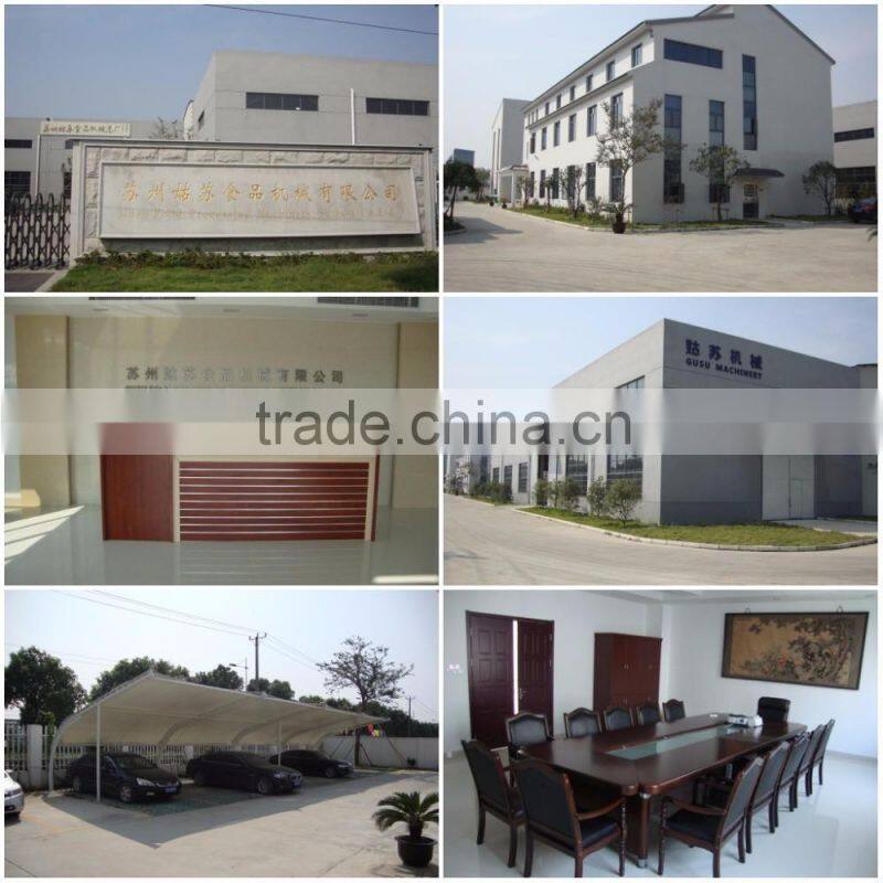 QDJ1000 width chocolate chip making machine