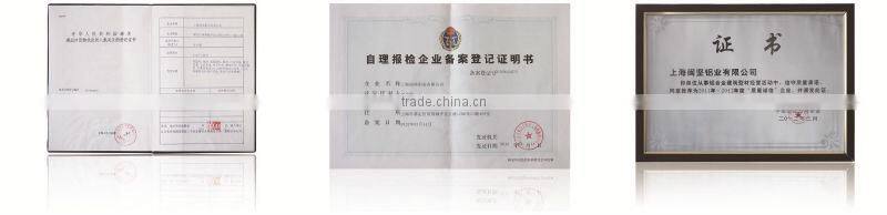 OEM aluminum Pivots Hinge with ISO certification