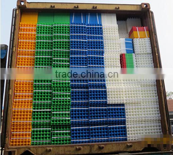 plastic protect egg-cartons incubator transportation egg turning tray