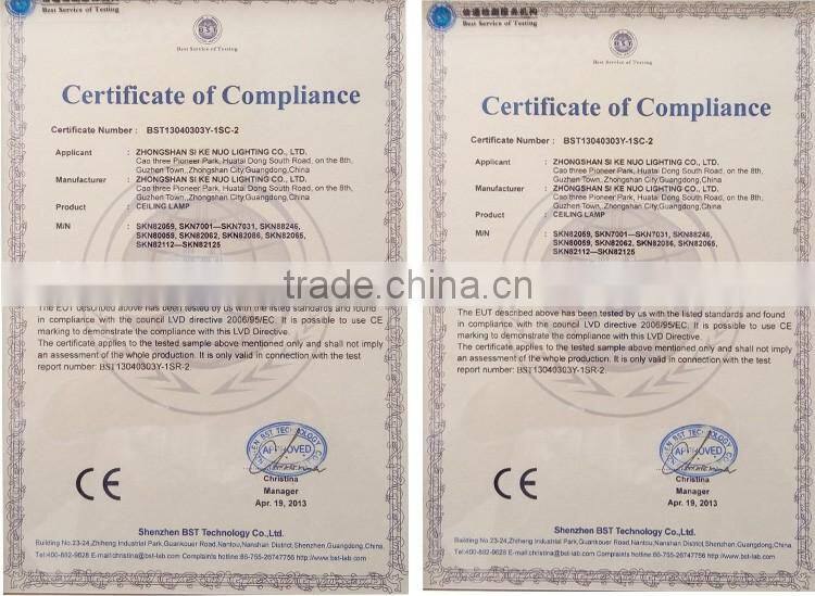 Home decorative energy saving light designer ceiling lamps