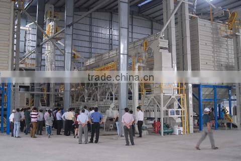 Fragrant rice ST (Skype: anda.ty)