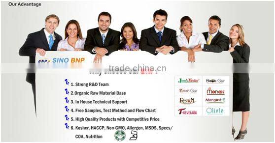 BNP Natural TOP Quality Reishi Spore Powder