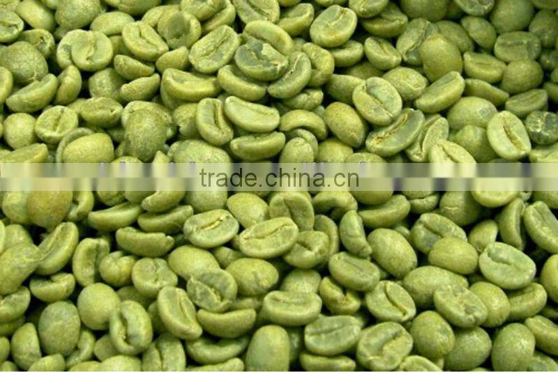 GMP Factory Supply Natural Green Coffee Bean Extract