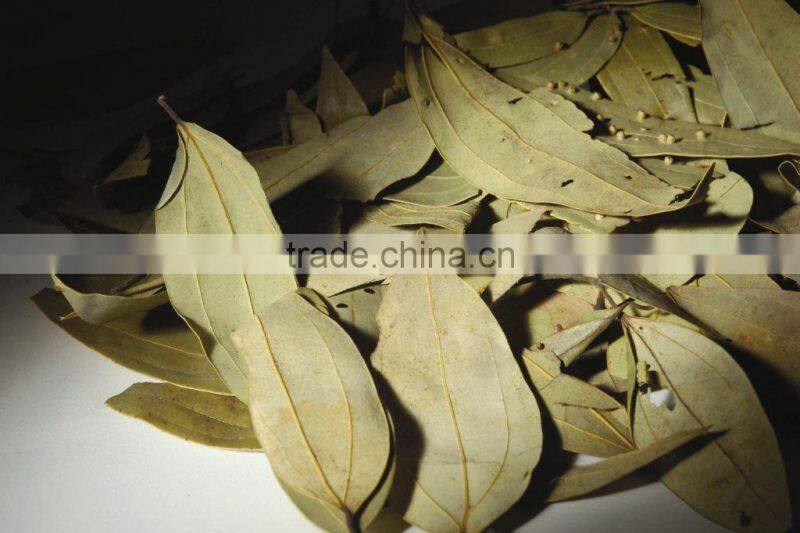 BAY LEAVES / LAUREL