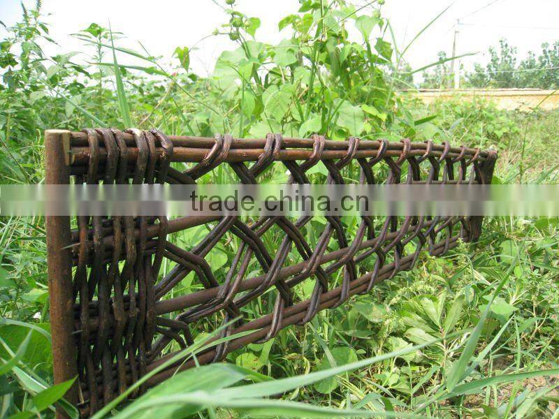 willow border