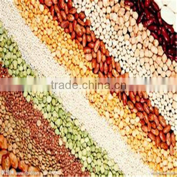 High Efficiency and Electrical all kinds beans Roasting Machine