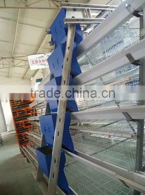 Automatic Chicken Feeding System