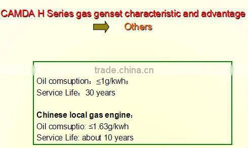 CE approved gas power plant/gas genset power plant/biogas,landfill gas,coal bed methane