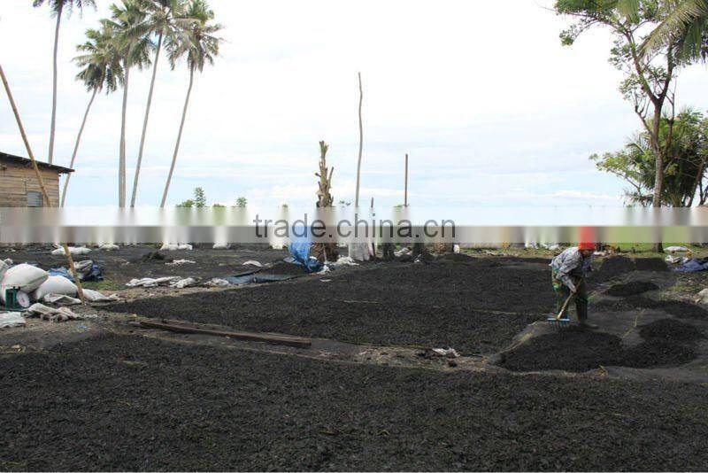 Coconut Shell Charcoal