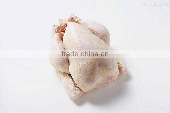 High Quality Cheap poultry plucker machine Stainless Steel Automatic Wholesale Poultry Depilating Machine for Chicken