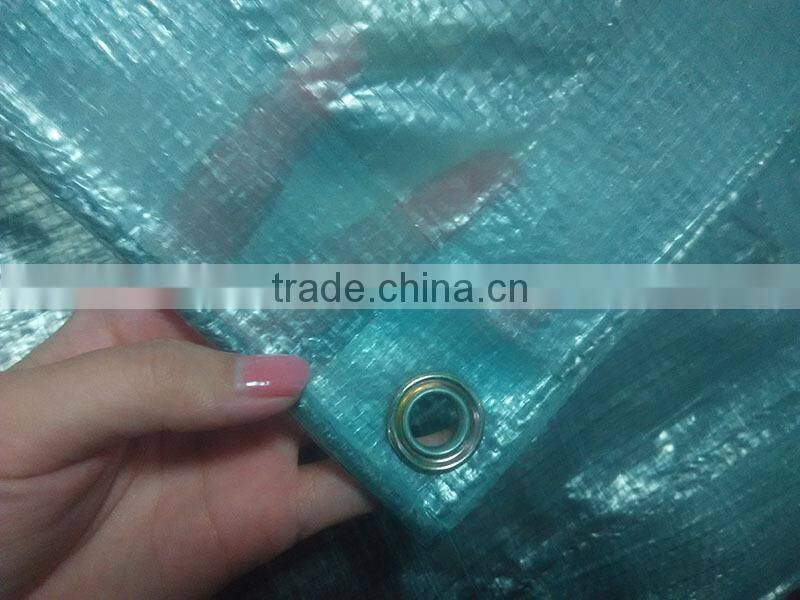 Chile plastic protection rain cover for orchard tree / woven cover cherry from rain