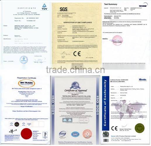 Bona 3/8" AC220V Steam Autoclave Sterilizer solenoid valve ZCQ-9313