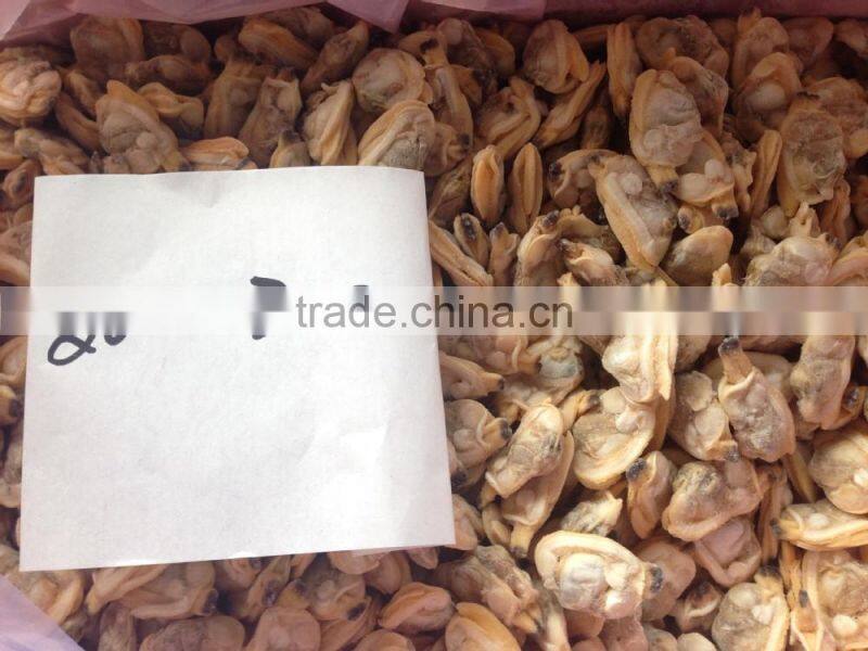 Short necked clam meat