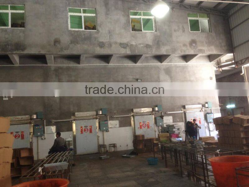 Newly Hot Selling Frozen Illex Squid Tube for sale