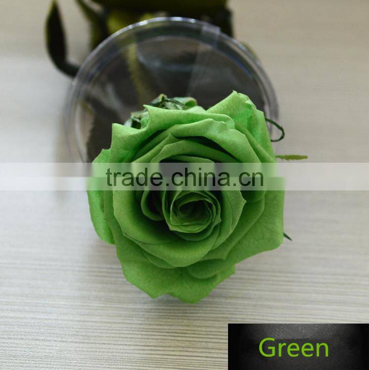 Wholesale Natural Multi Colors Long Time Saving Preserved Fresh Flower Rose With Long Stem