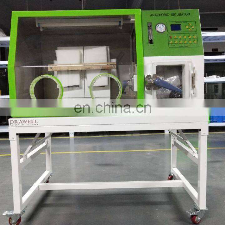 LAI-3 Bacteria Anaerobic Chamber