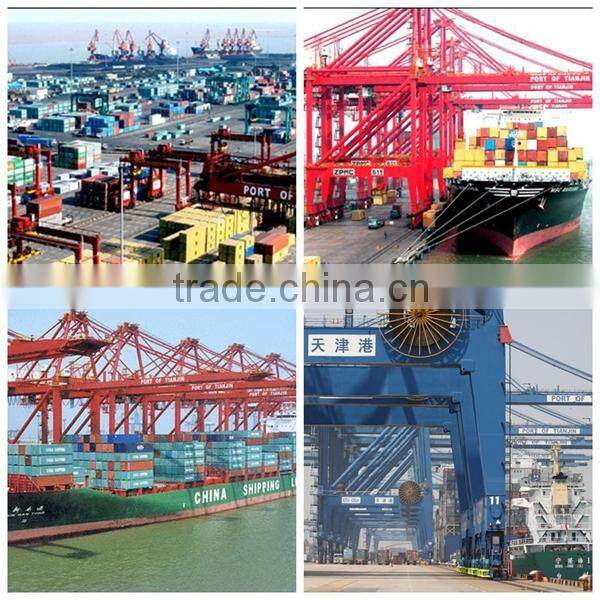 Standard or Customzied Industrial Cartridge filter with high performance replace HP0652P10NV MP filter