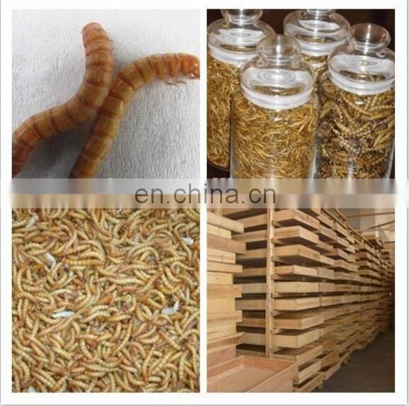 Multifunctional Mealworm Machine to Separate /Small Worm Multifunctional Tenebrio molitor Selecting Machine