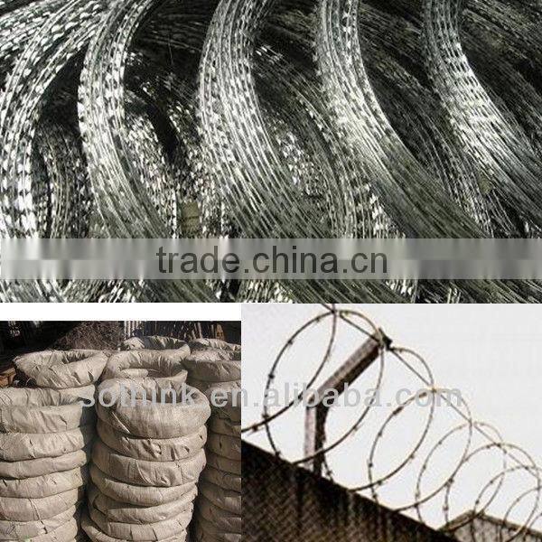 galvanized steel coiled barbed wire (reasonable price)