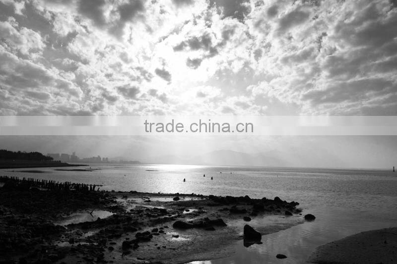 77mm Yellow filter Massa high quality color filter