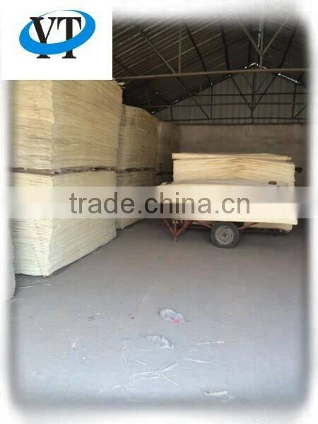 Rotary cut white color poplar wood face veneer with high quanlity Linyi factory manufactures