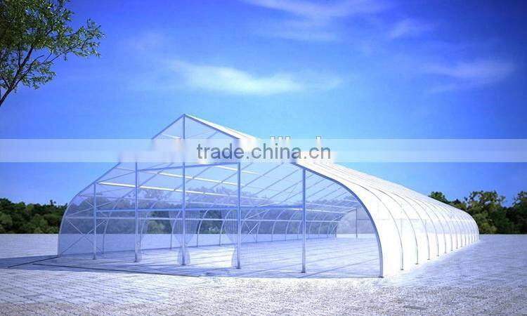 warranty 1 year trailer tent trailer cover with fast delivery