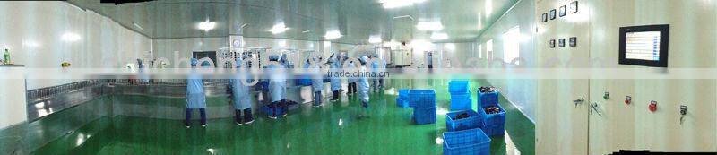 automatic plastic caps UV painting line/automatic spray painting line/painting conveyor line for cosmetic lids