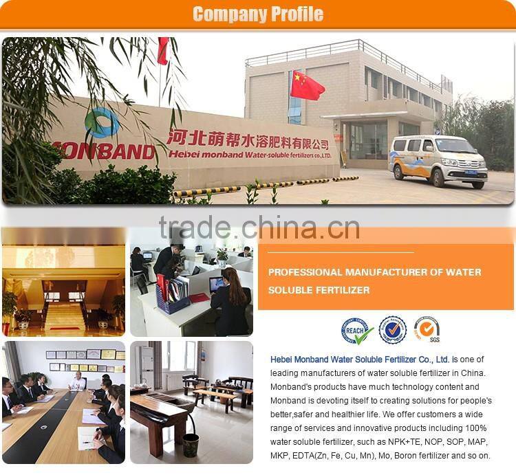 Ammonium Sulphate Granular