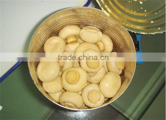 agaricus bisporus/double -spore extract/30%~50% polysaccharide by uv