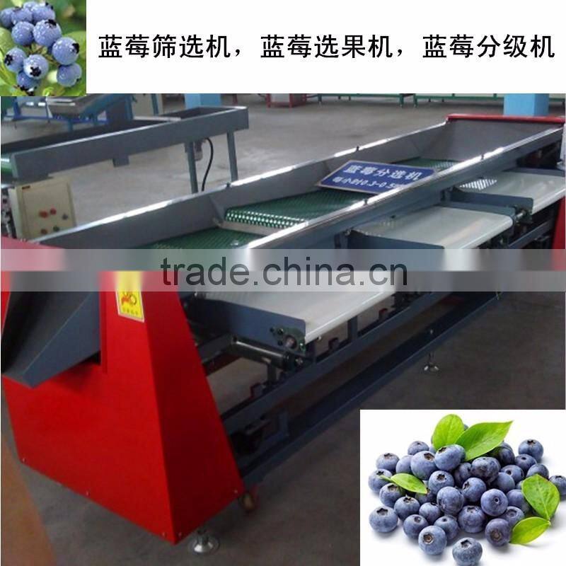 blueberry sorting machine