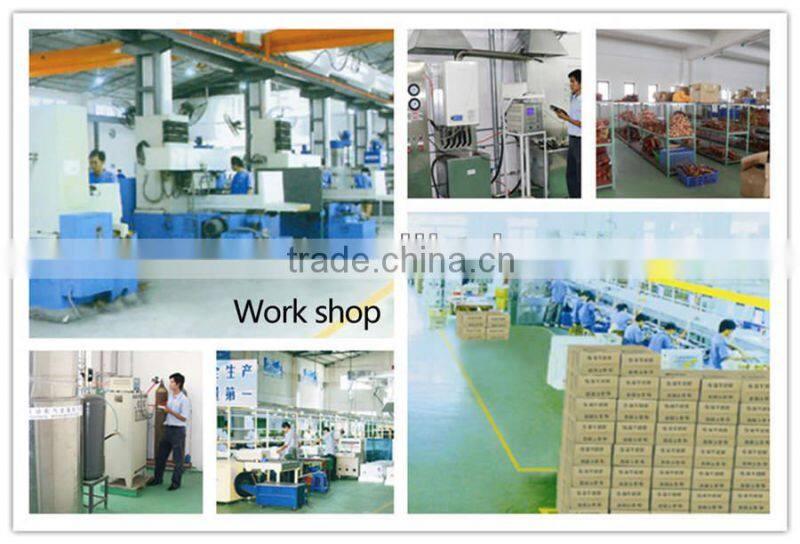 Wall Hung Gas Boiler For Russia Market