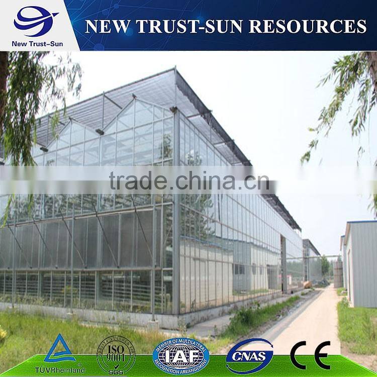 Best selling PC sheet/board agricultural greenhouse for sale