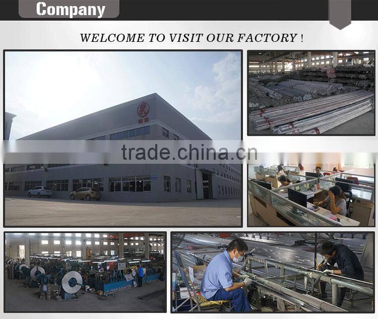 Best Price Sgs 304 316L Tube Ss Pipe