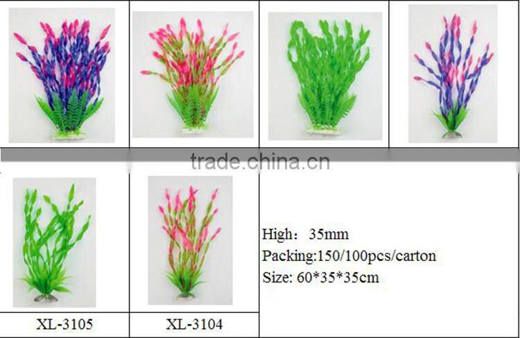 aqua plants water plants for sale