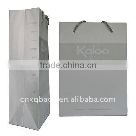 Fashional Paper Bag for Clothes