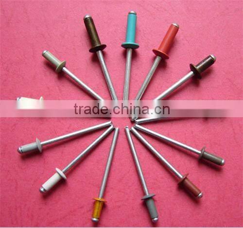 Ningbo manufacture and supplier with high quanlity best price large flange head aluminum blind rivets fasteners
