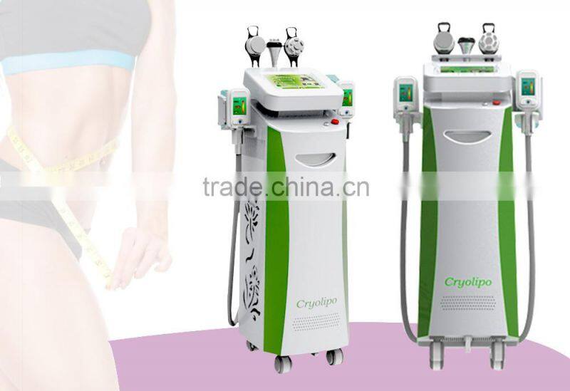 Technology 2016 fat loss cryolipolysis cold body sculpting cryo fat freeze slimming machine