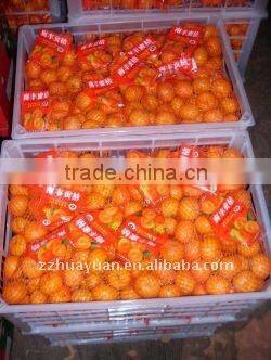 Sweet Nanfeng orange