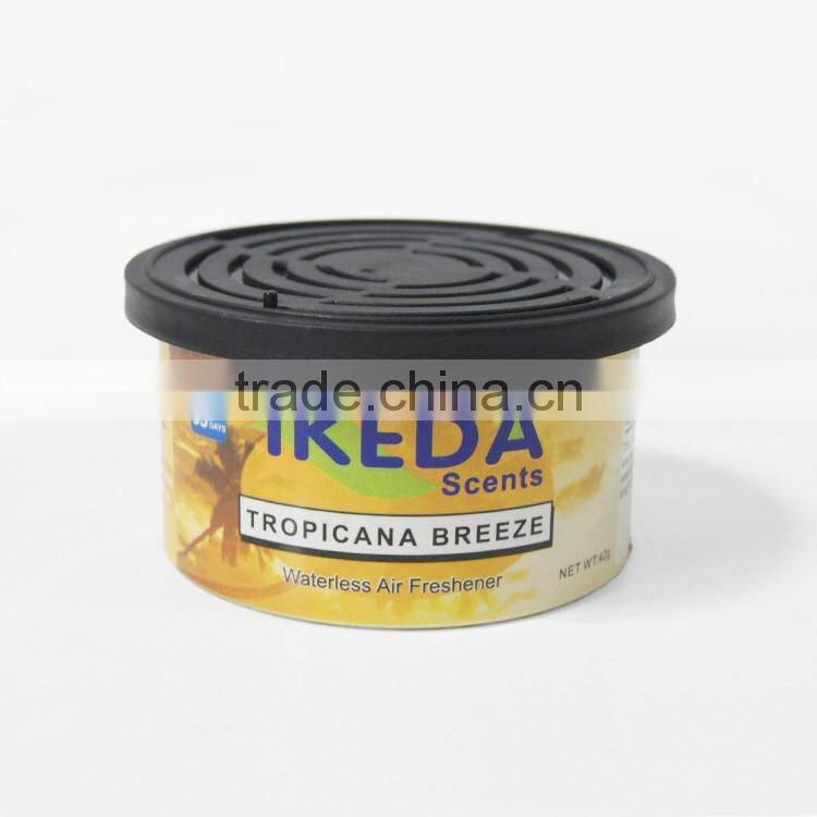 car organic cans strawberry woods in aluminium pot
