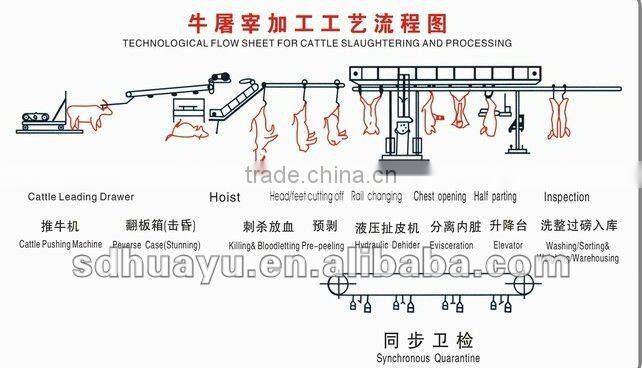Halal Ritual slaughtering equipment equipping to cattle slaughter house