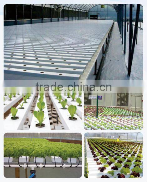 NFT Hydroponic Net Pot for Greenhouse Planting