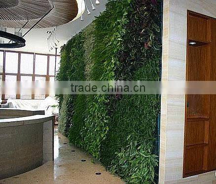 2015 High Quality Factory price Plastic/Artificial Plant Wall decorative wall hanging